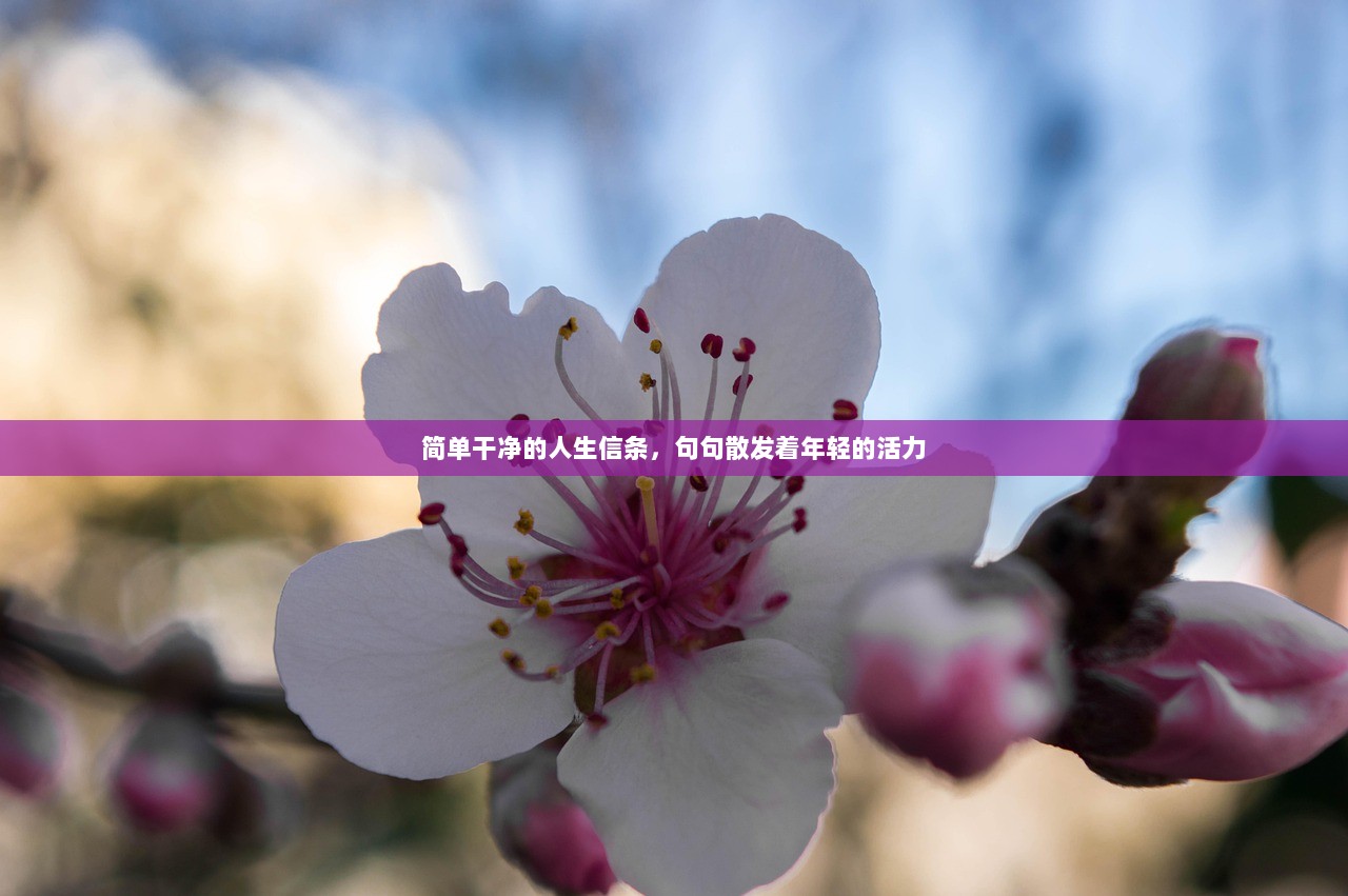 简单干净的人生信条，句句散发着年轻的活力