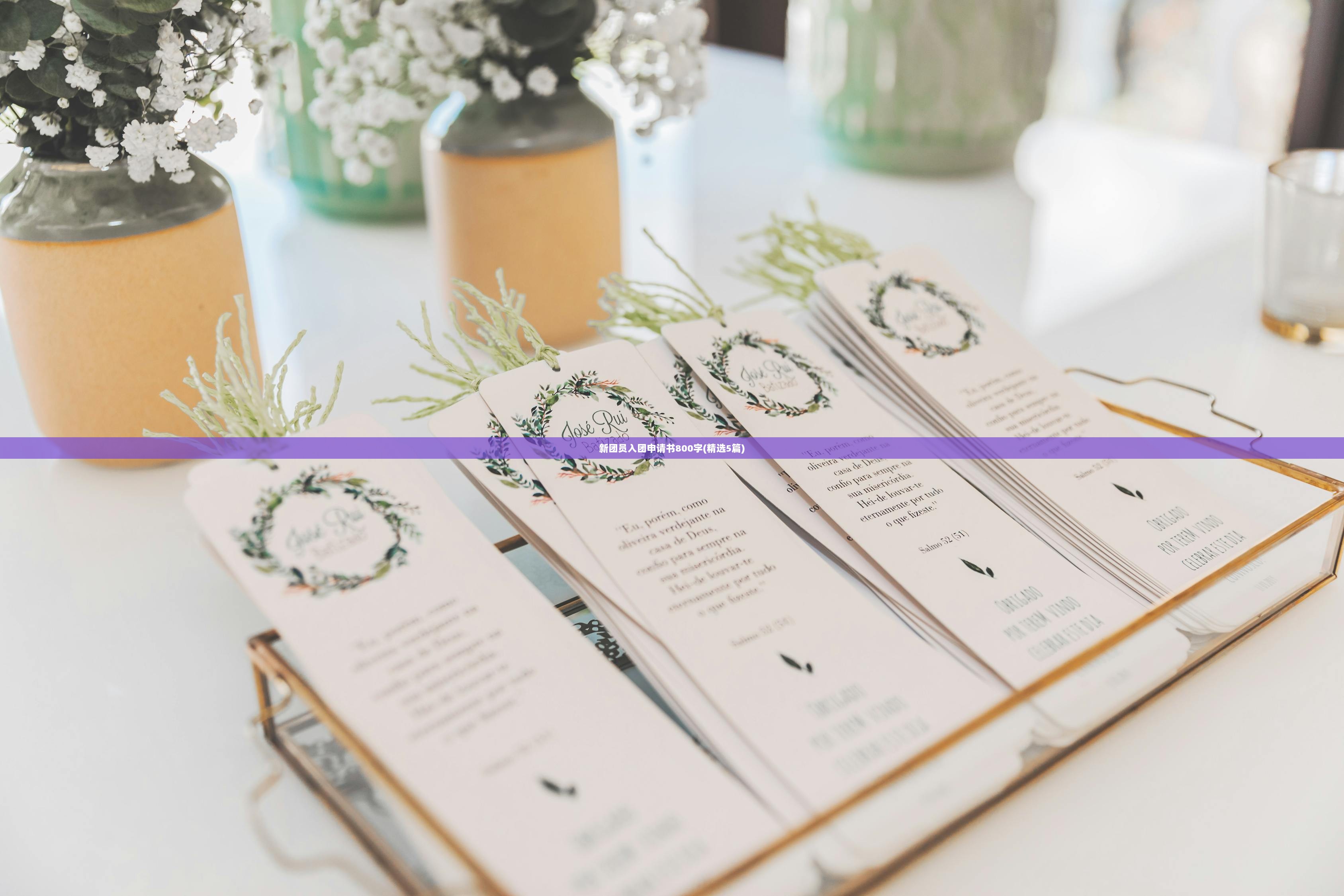 新团员入团申请书800字(精选5篇)
