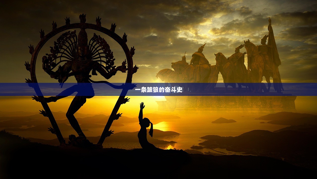 一条跛狼的奋斗史