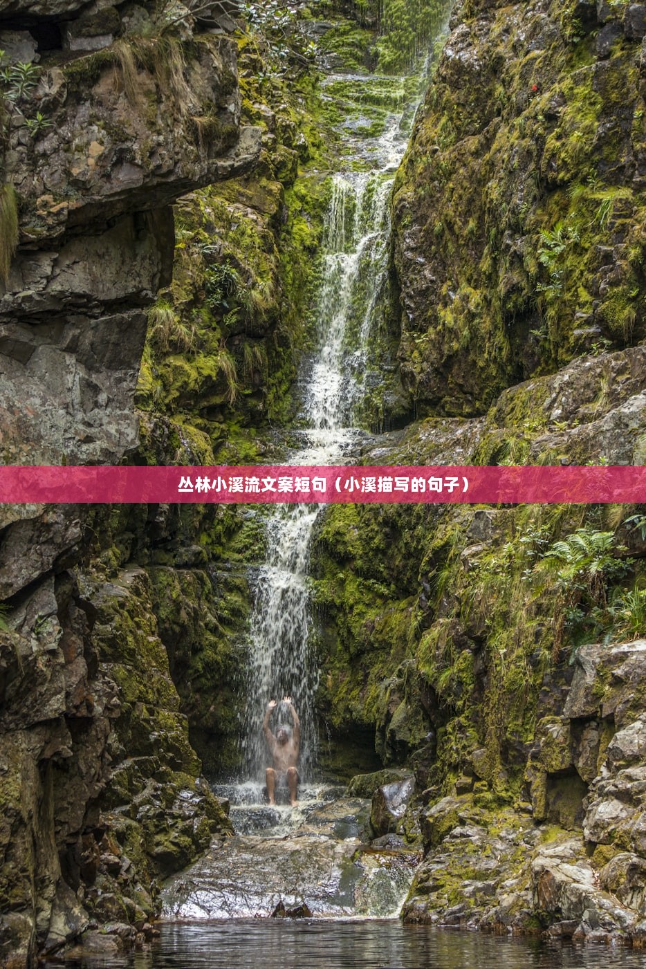 丛林小溪流文案短句（小溪描写的句子）