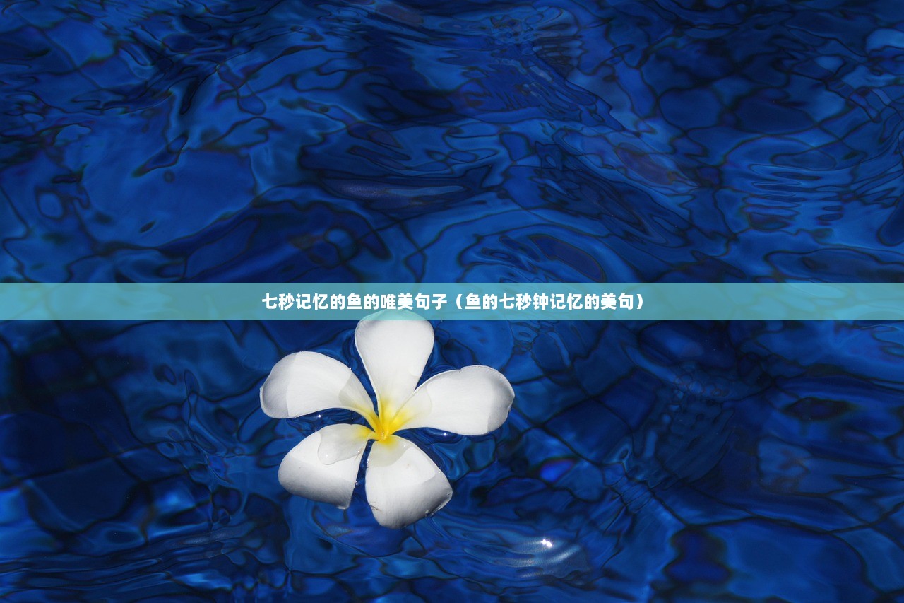 七秒记忆的鱼的唯美句子（鱼的七秒钟记忆的美句）