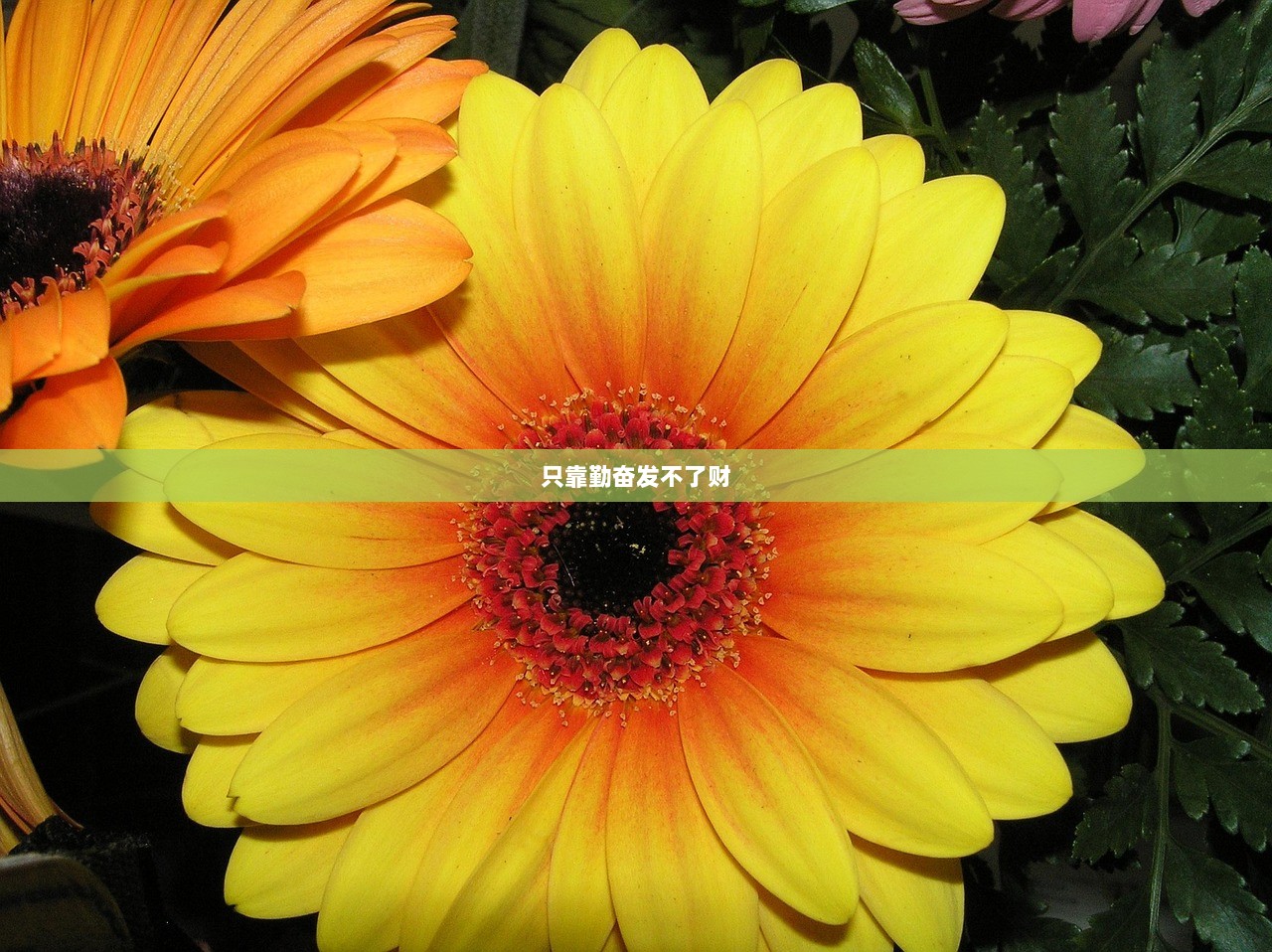 只靠勤奋发不了财