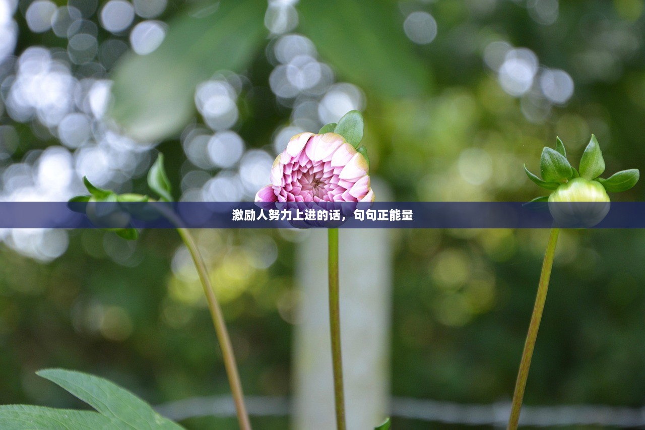 激励人努力上进的话，句句正能量