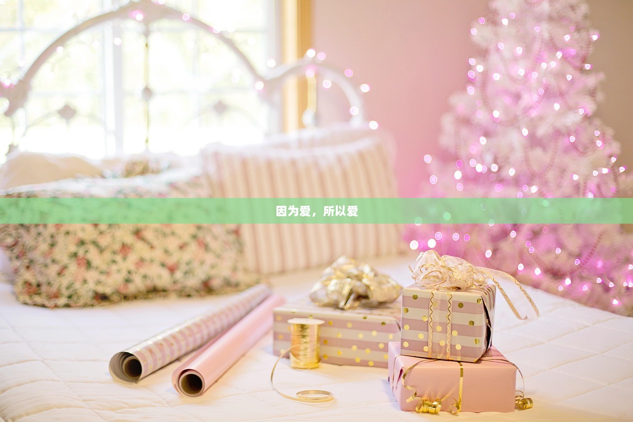 因为爱，所以爱