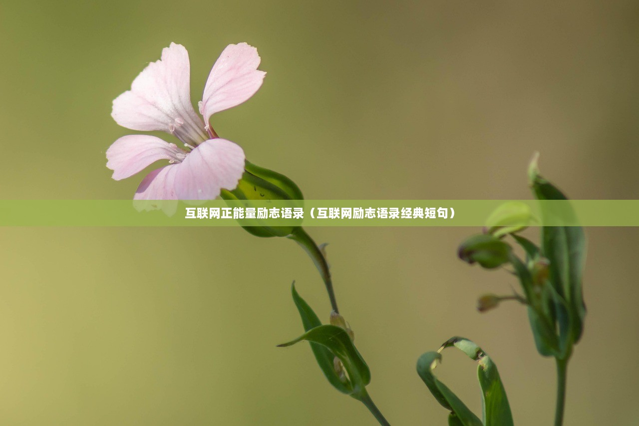 互联网正能量励志语录（互联网励志语录经典短句）