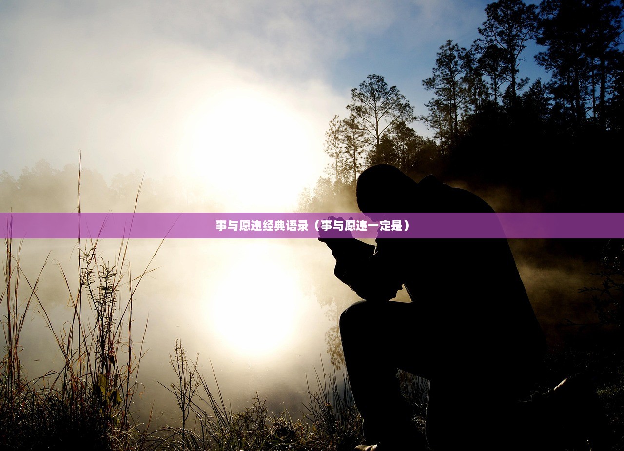 事与愿违经典语录（事与愿违一定是）  第1张