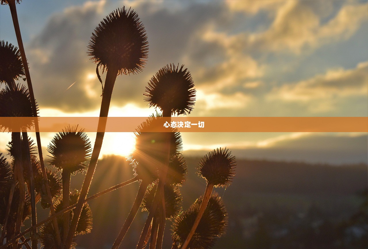 心态决定一切