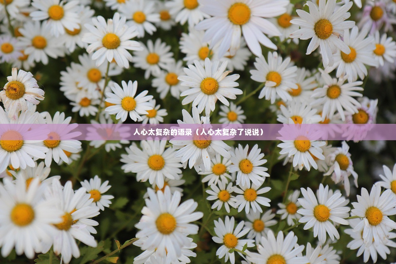 人心太复杂的语录（人心太复杂了说说）