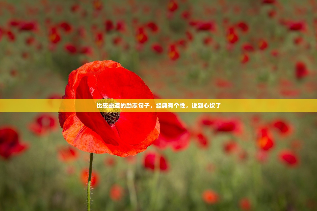 比较霸道的励志句子，经典有个性，说到心坎了
