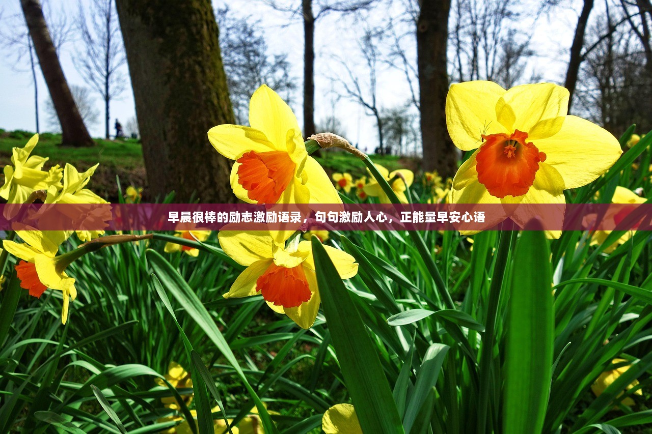 早晨很棒的励志激励语录，句句激励人心，正能量早安心语