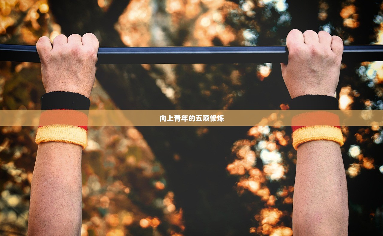 向上青年的五项修炼