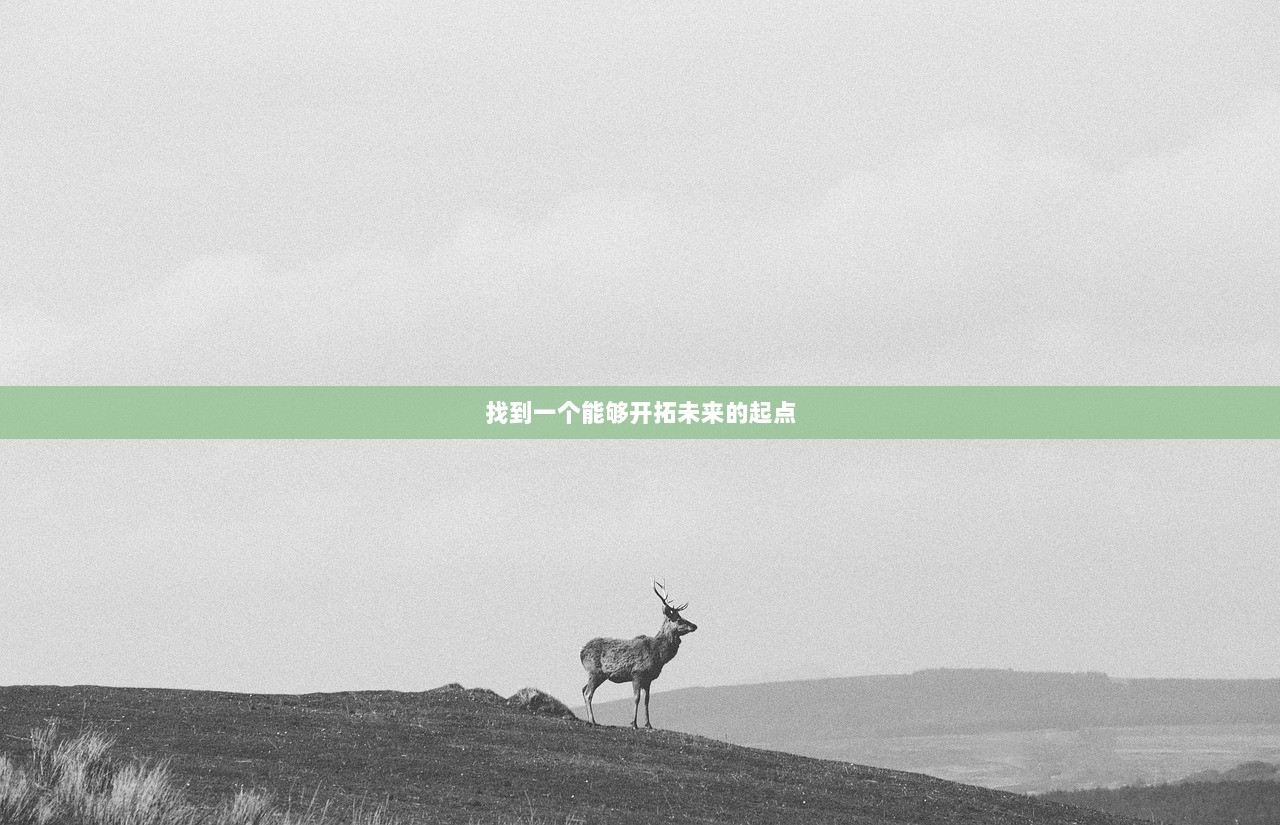 找到一个能够开拓未来的起点