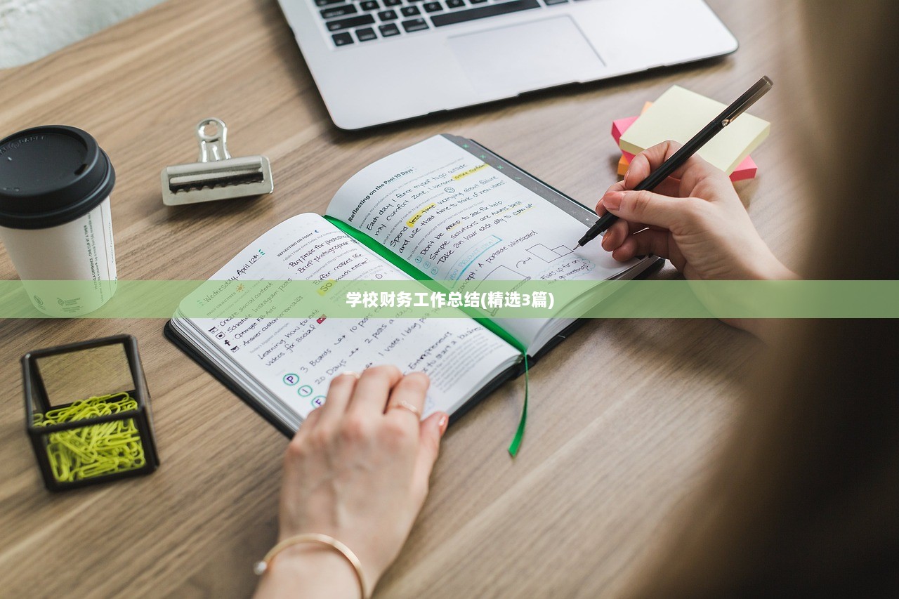学校财务工作总结(精选3篇)