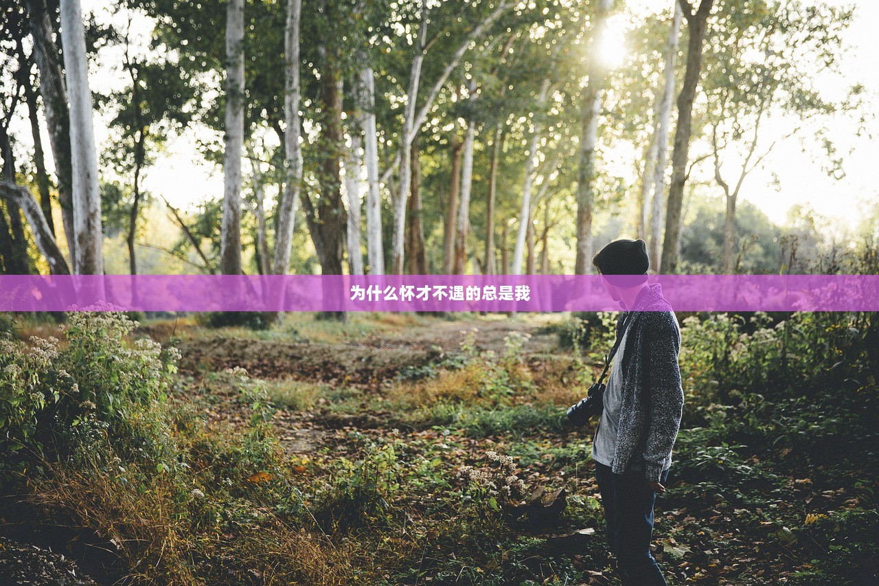 为什么怀才不遇的总是我 第1张 为什么怀才不遇的总是我 第1张