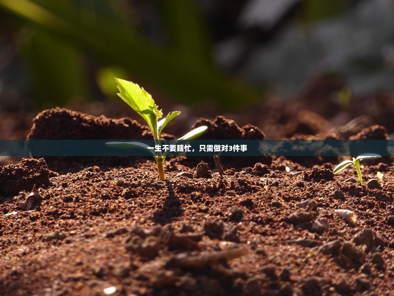 一生不要瞎忙，只需做对3件事