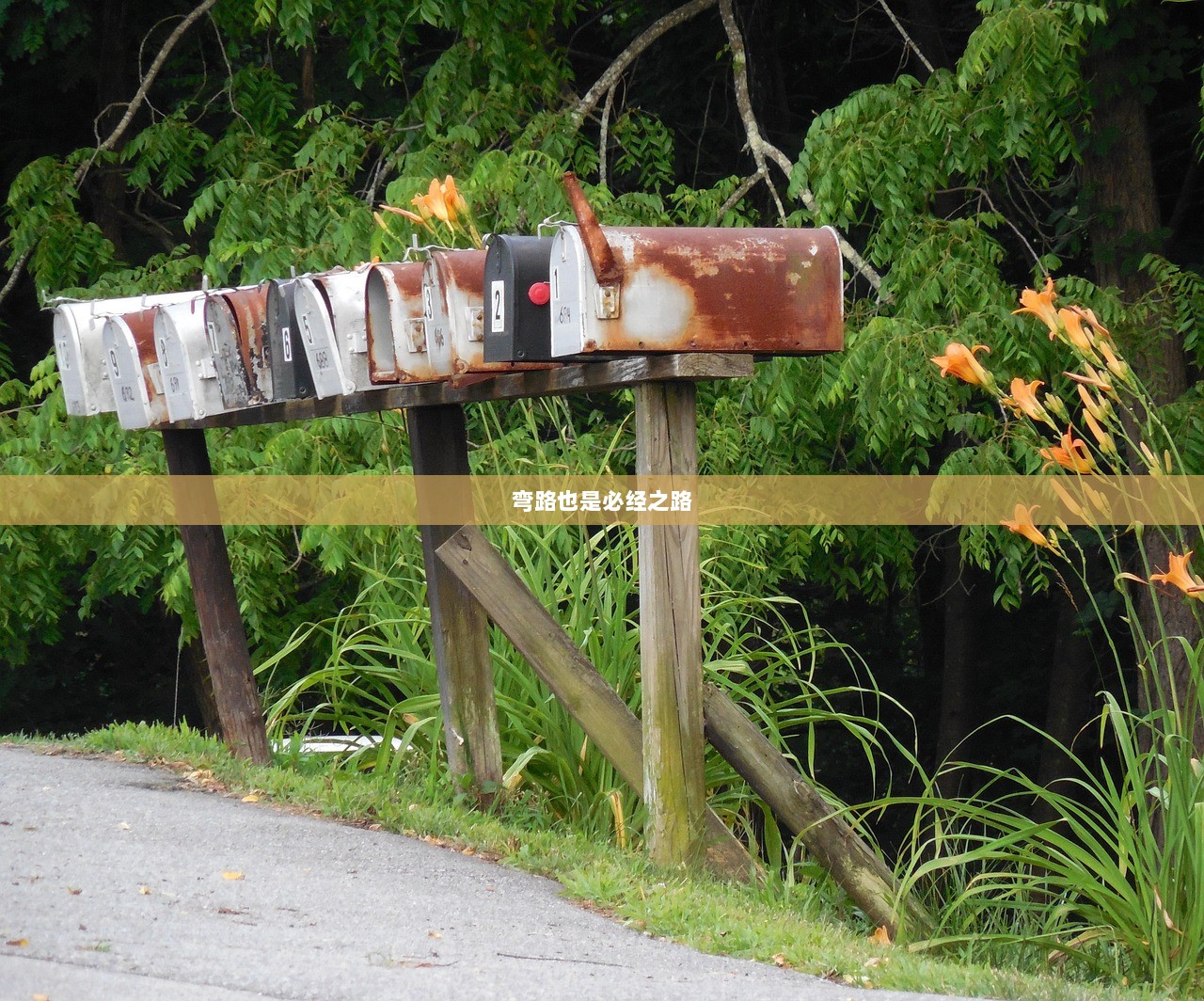 弯路也是必经之路