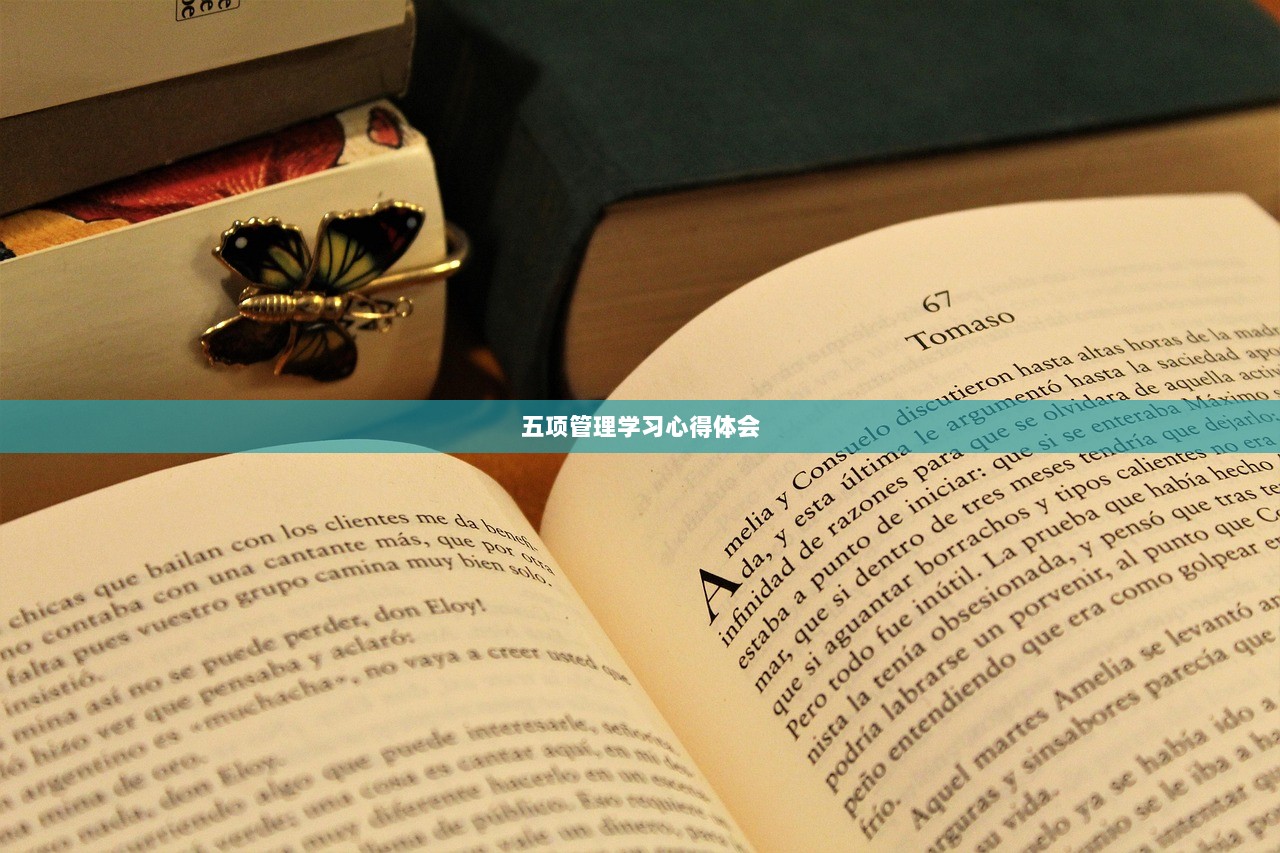 五项管理学习心得体会