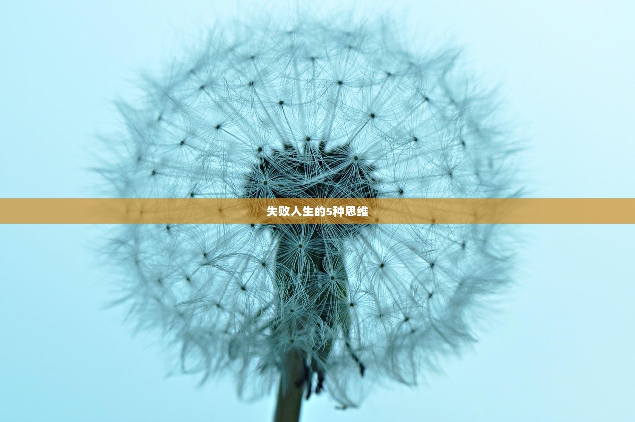 失败人生的5种思维  第1张