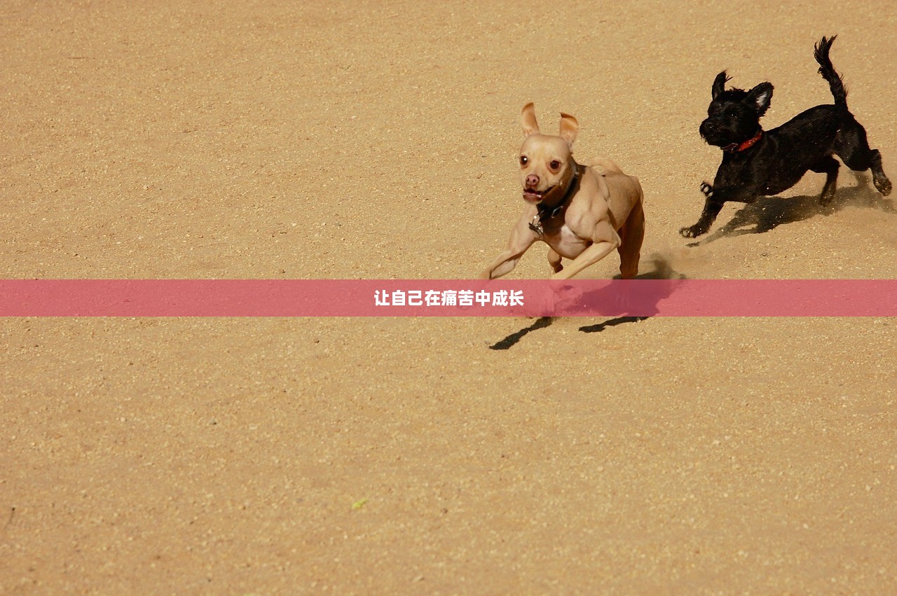 让自己在痛苦中成长