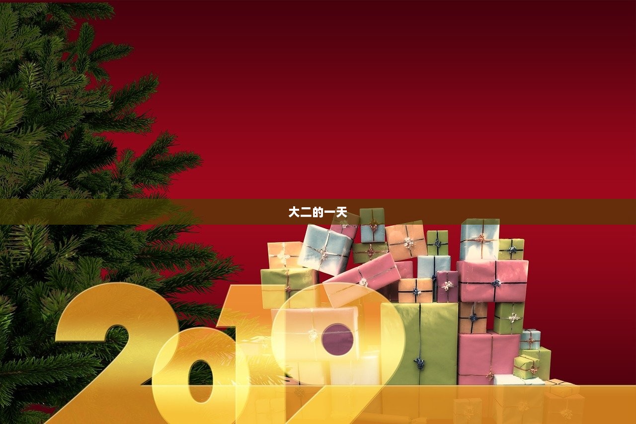 大二的一天