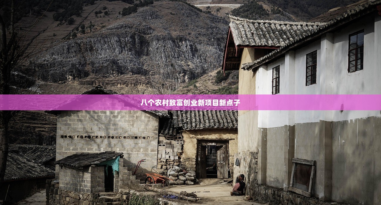 八个农村致富创业新项目新点子  第1张