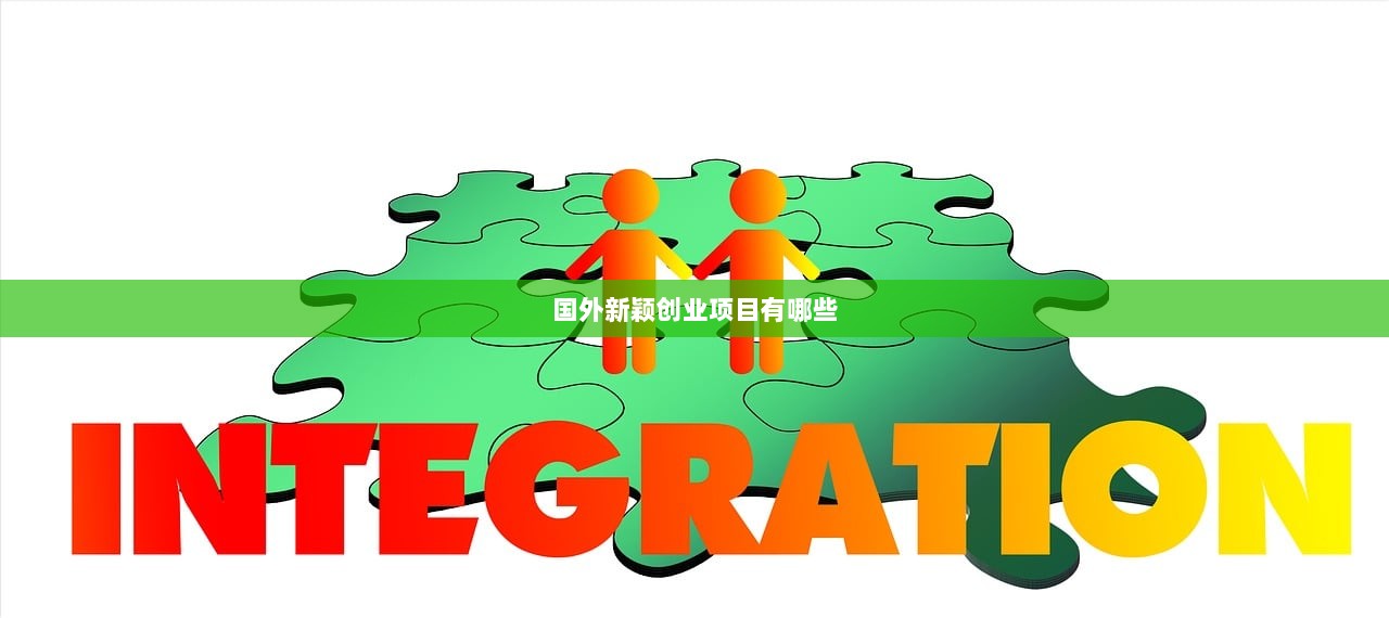 国外新颖创业项目有哪些