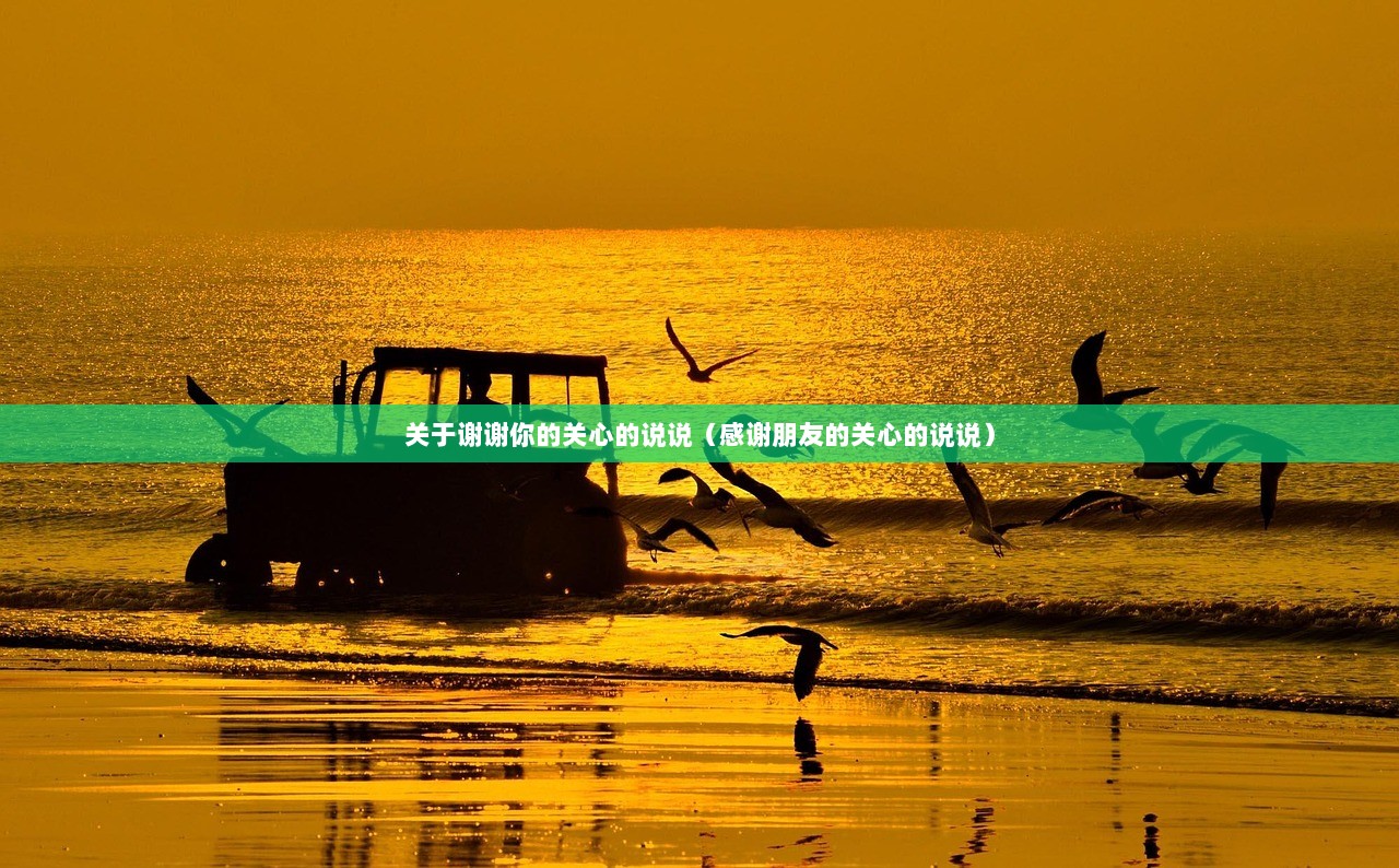 关于谢谢你的关心的说说（感谢朋友的关心的说说）