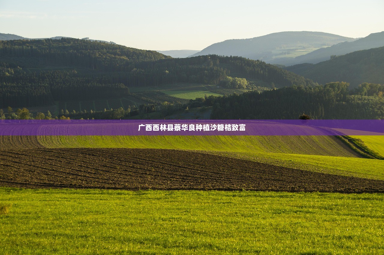 广西西林县蔡华良种植沙糖桔致富