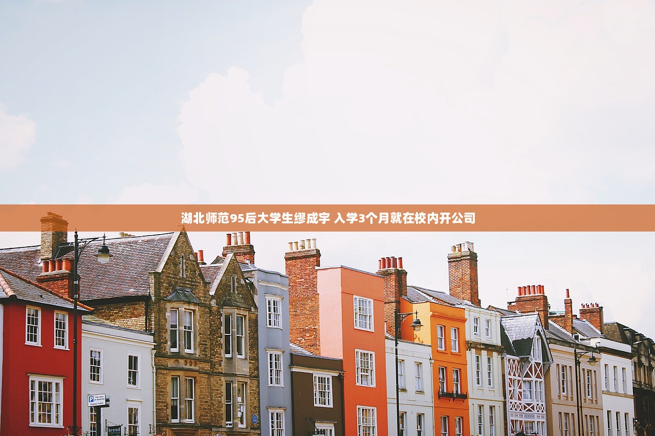 湖北师范95后大学生缪成宇 入学3个月就在校内开公司