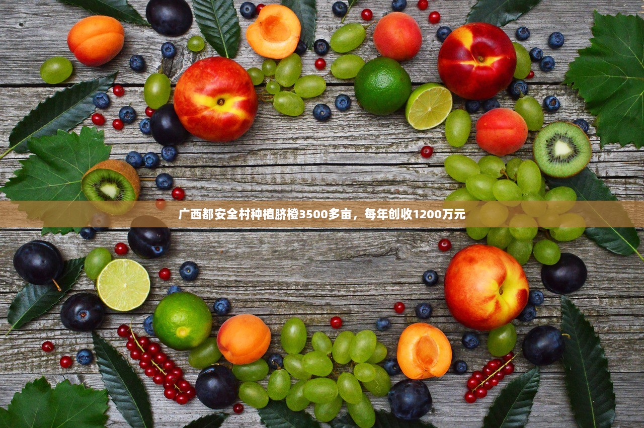 广西都安全村种植脐橙3500多亩，每年创收1200万元