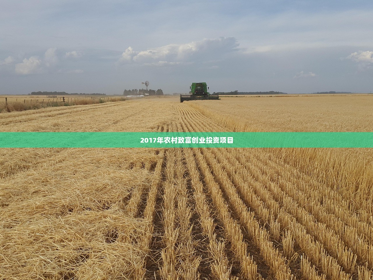 2017年农村致富创业投资项目  第1张