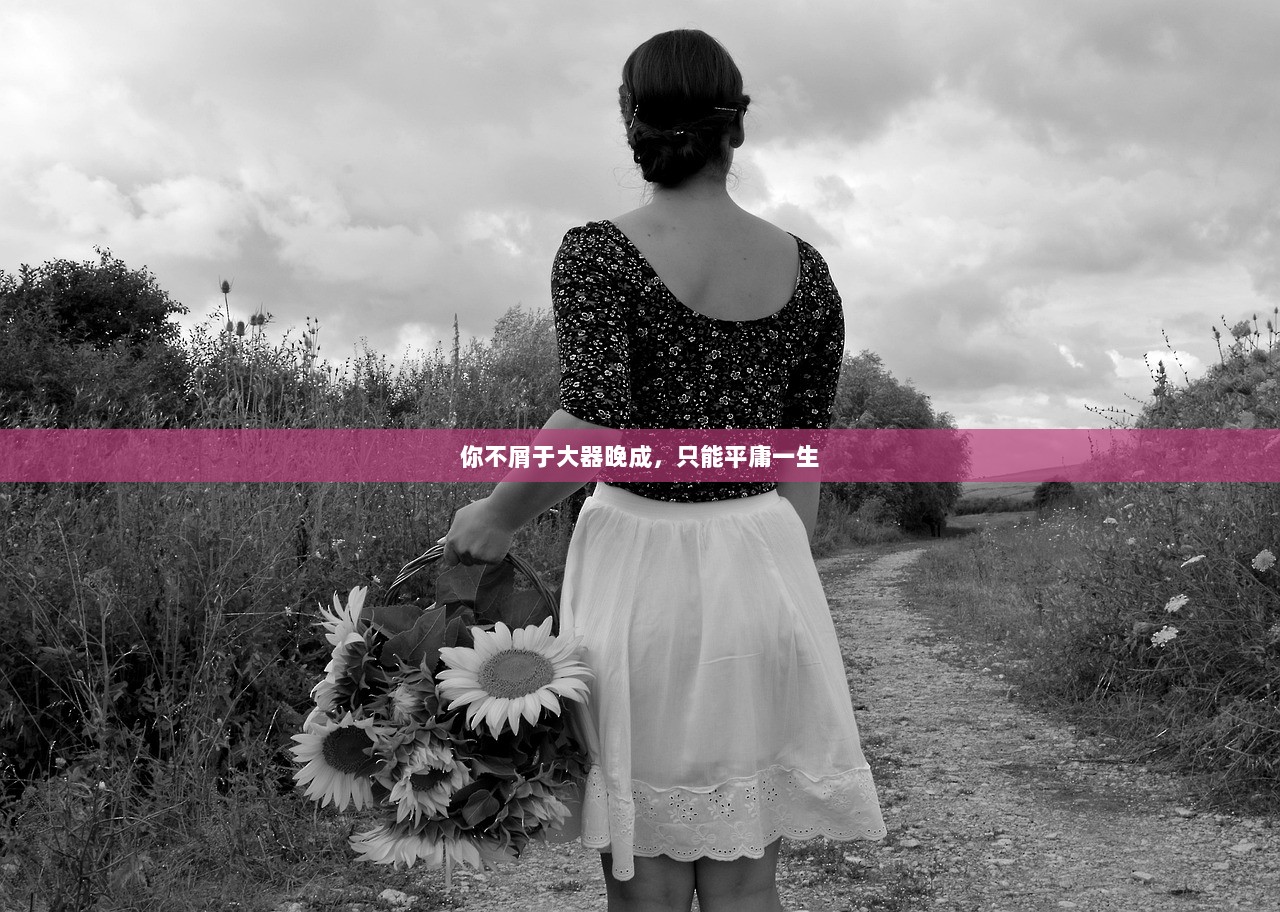 你不屑于大器晚成，只能平庸一生