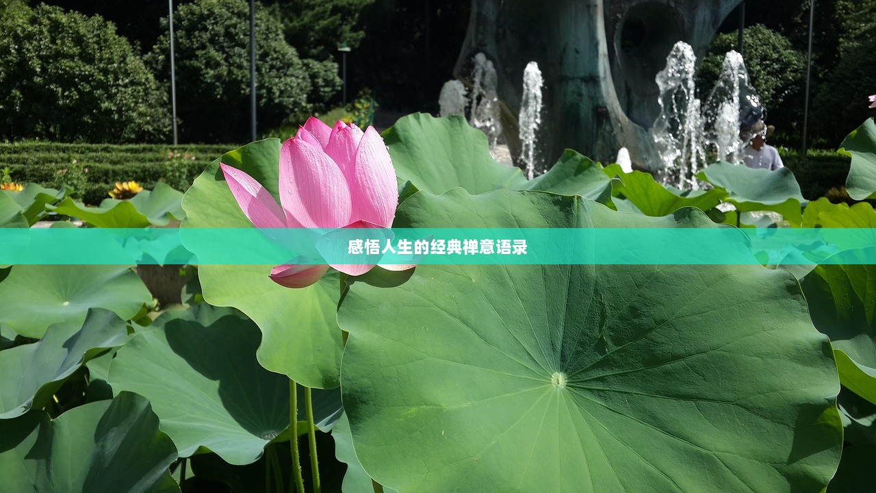 感悟人生的经典禅意语录