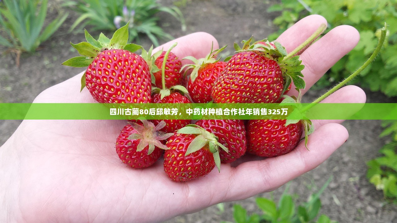 四川古蔺80后邱敏芳，中药材种植合作社年销售325万