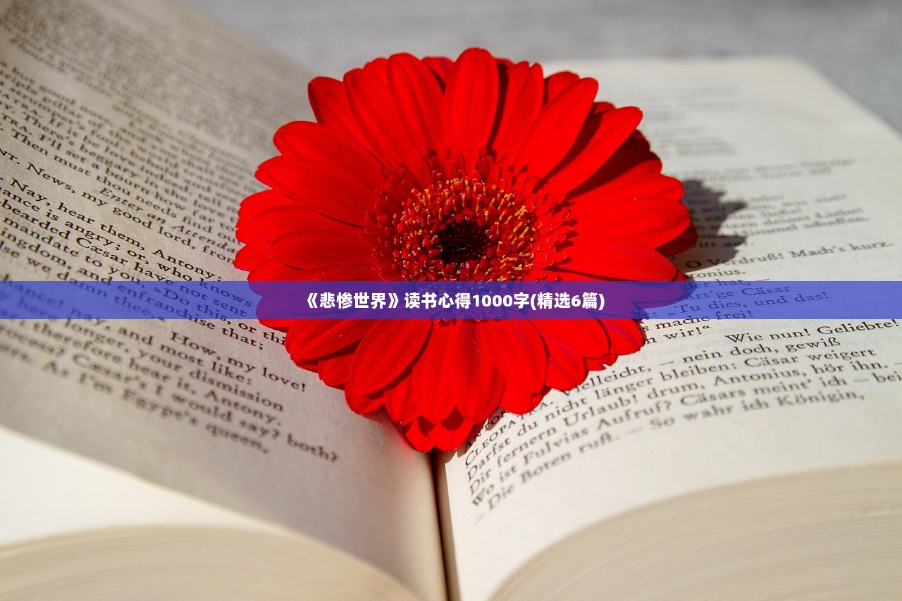 《悲惨世界》读书心得1000字(精选6篇)