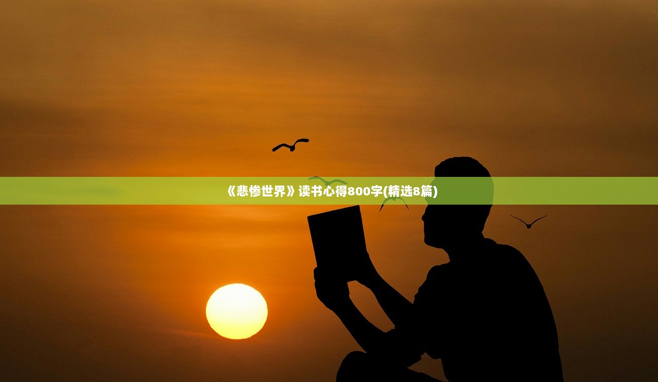 《悲惨世界》读书心得800字(精选8篇)