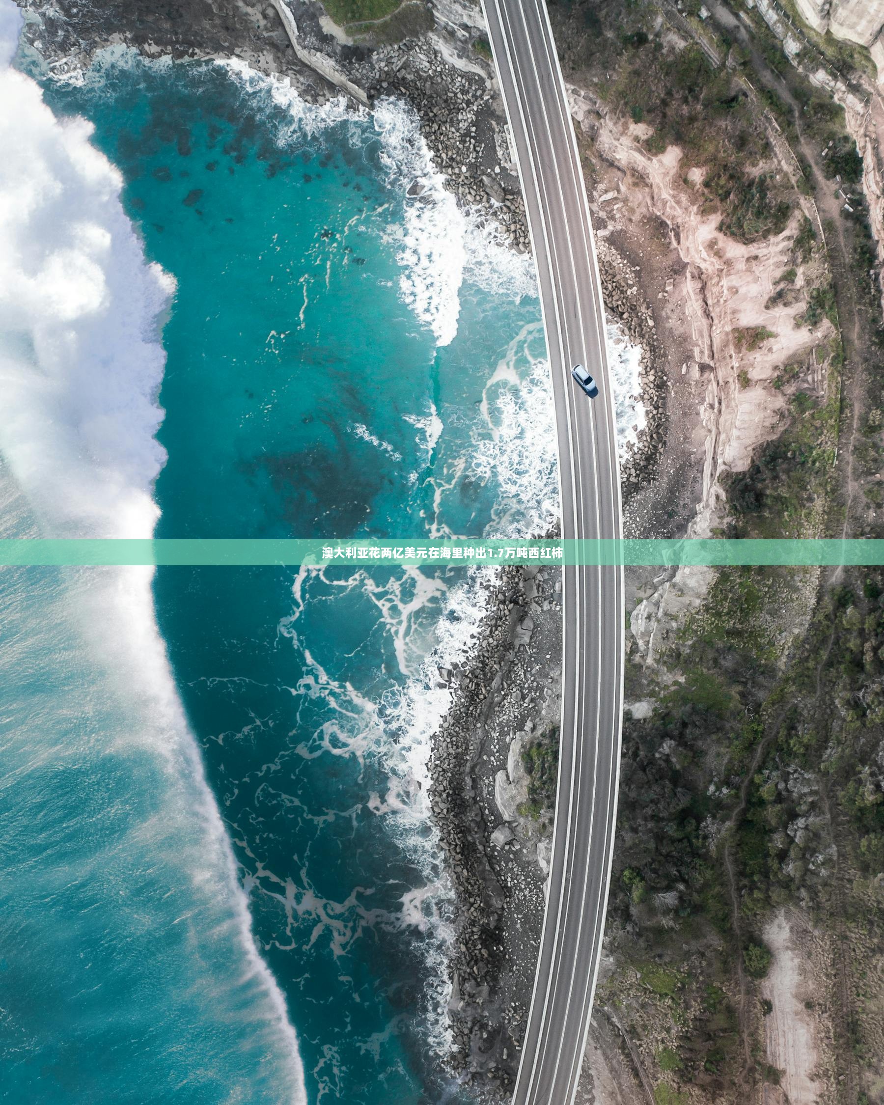 澳大利亚花两亿美元在海里种出1.7万吨西红柿 第1张 澳大利亚花两亿美元在海里种出1.7万吨西红柿 第1张