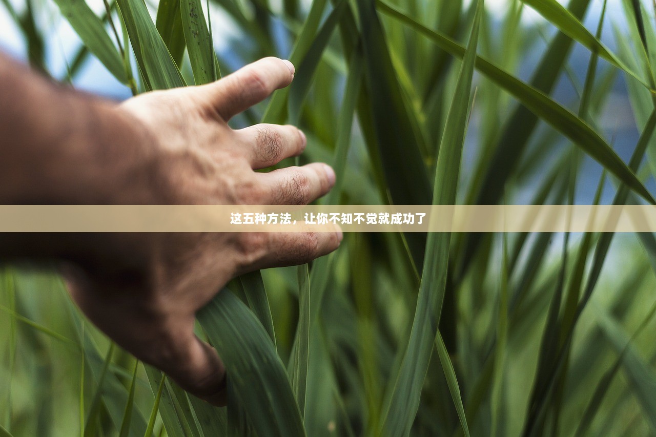 这五种方法，让你不知不觉就成功了