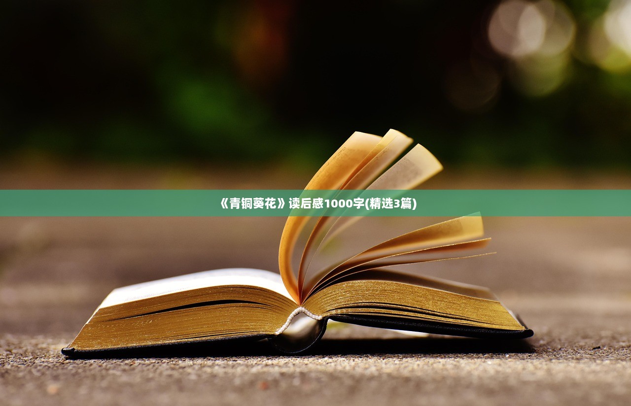 《青铜葵花》读后感1000字(精选3篇)  第1张
