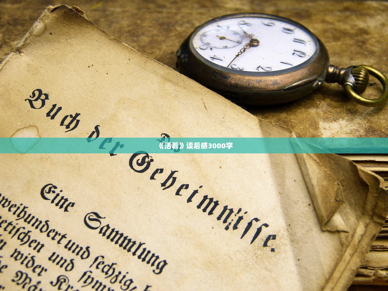 《活着》读后感3000字