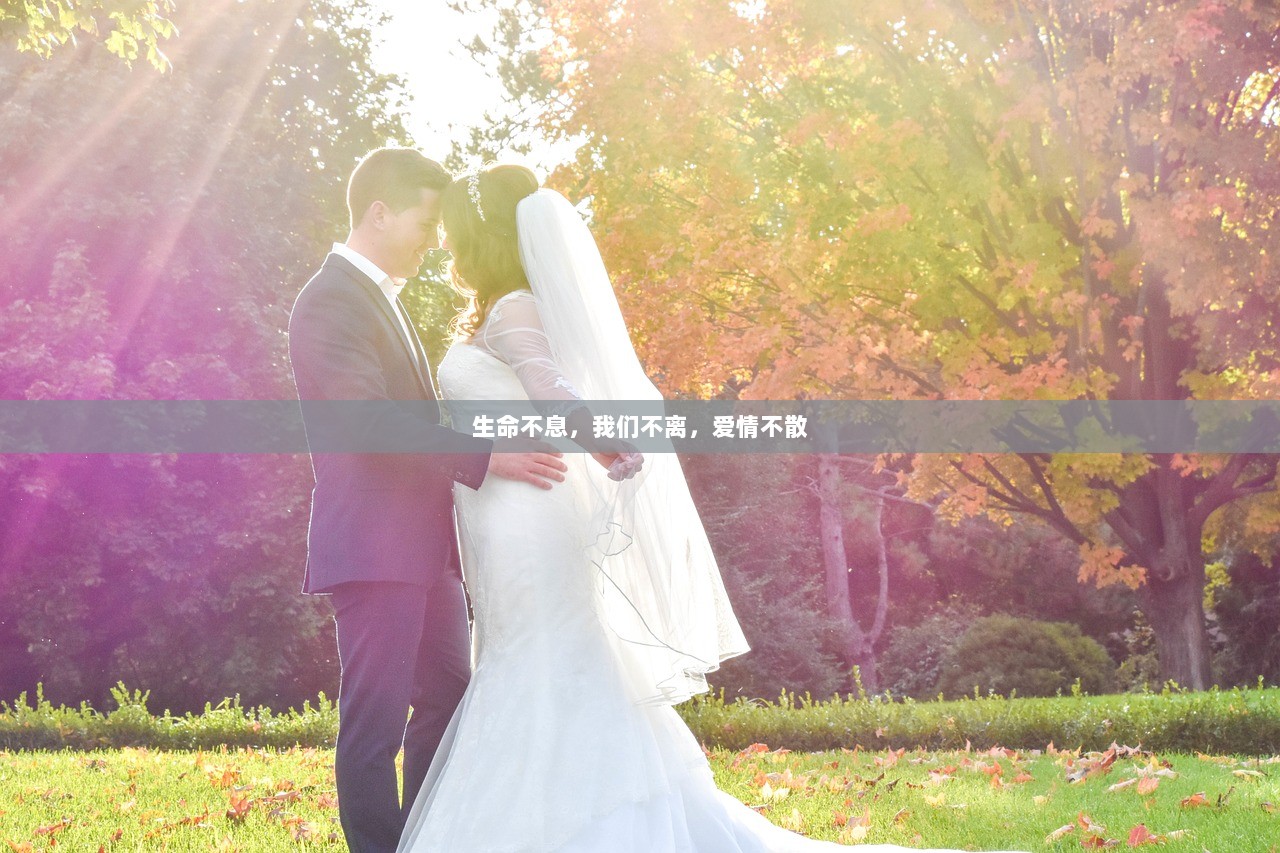 生命不息，我们不离，爱情不散
