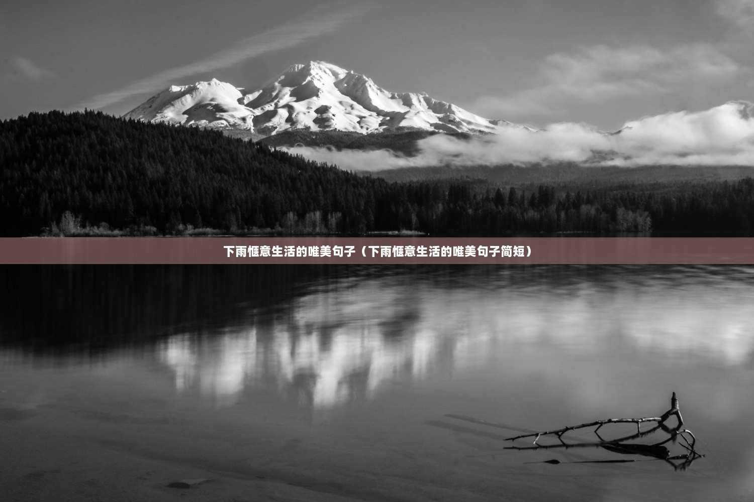 下雨惬意生活的唯美句子（下雨惬意生活的唯美句子简短）