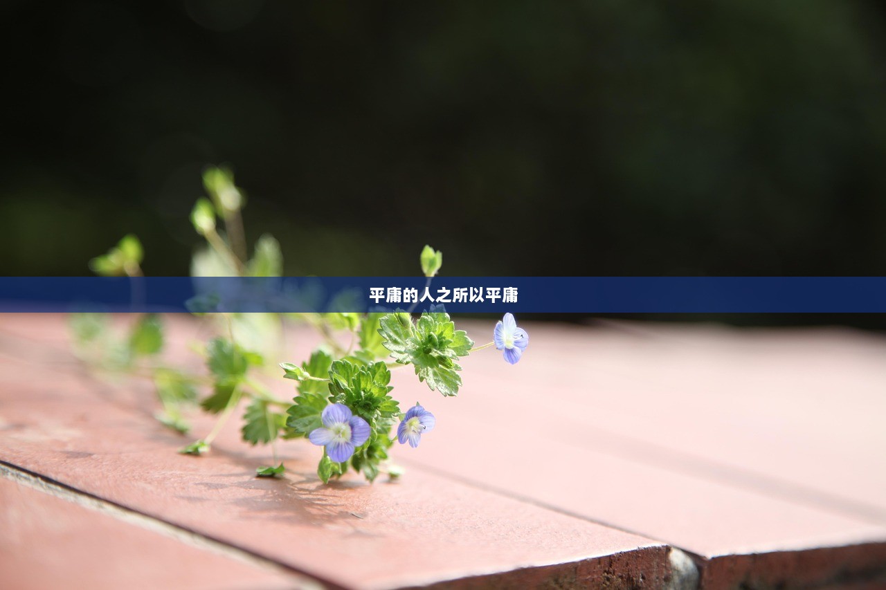 平庸的人之所以平庸 第1张 平庸的人之所以平庸 第1张