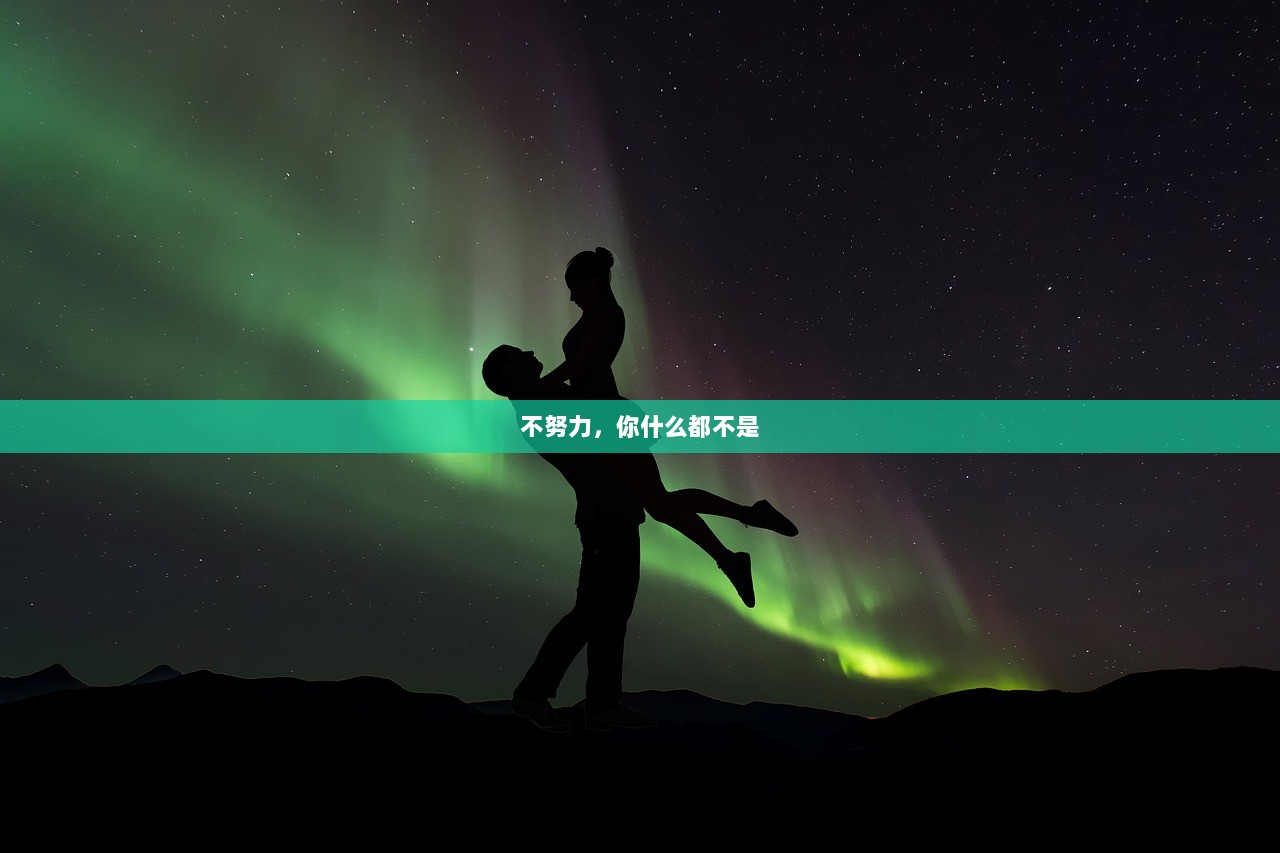 不努力，你什么都不是  第1张