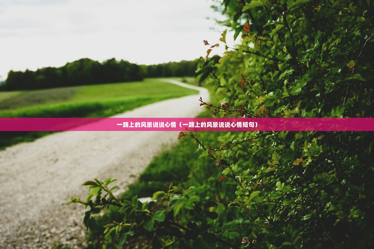 一路上的风景说说心情（一路上的风景说说心情短句）