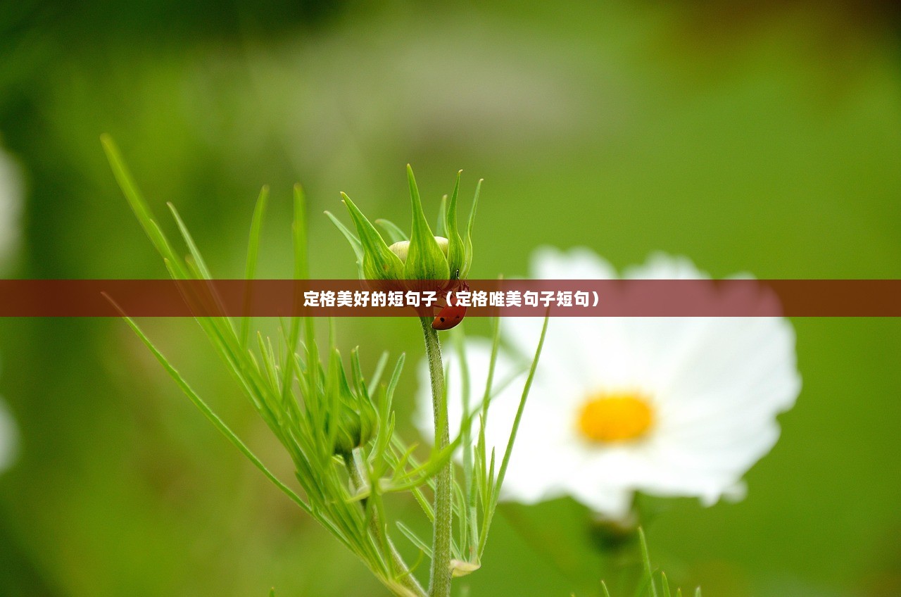 定格美好的短句子（定格唯美句子短句）