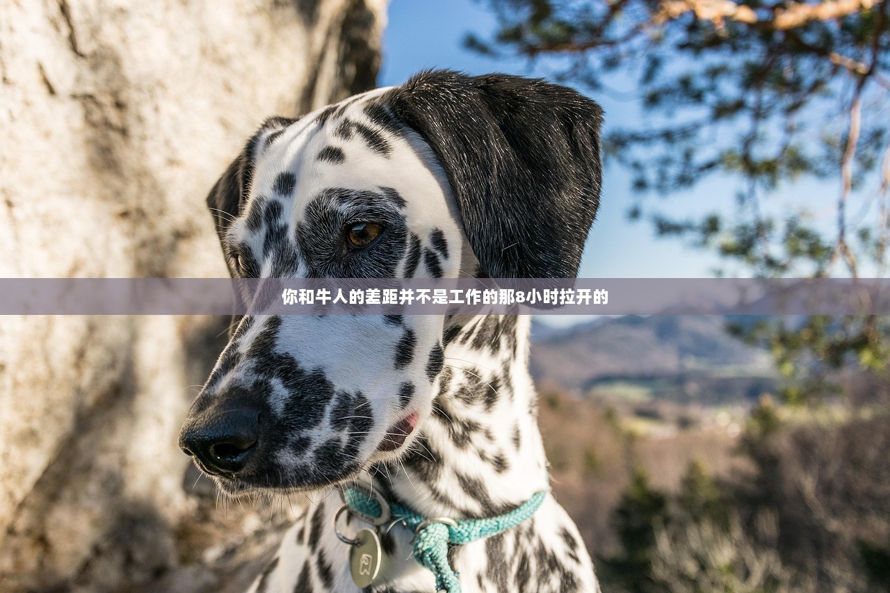 你和牛人的差距并不是工作的那8小时拉开的