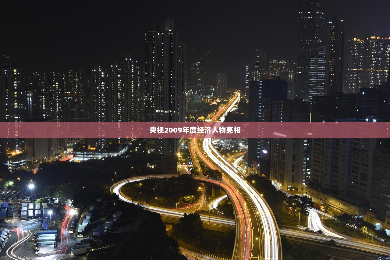 央视2009年度经济人物亮相