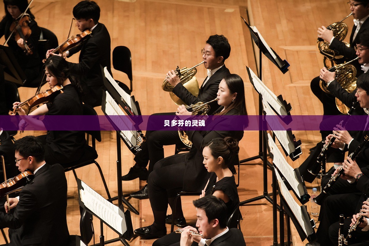 贝多芬的灵魂