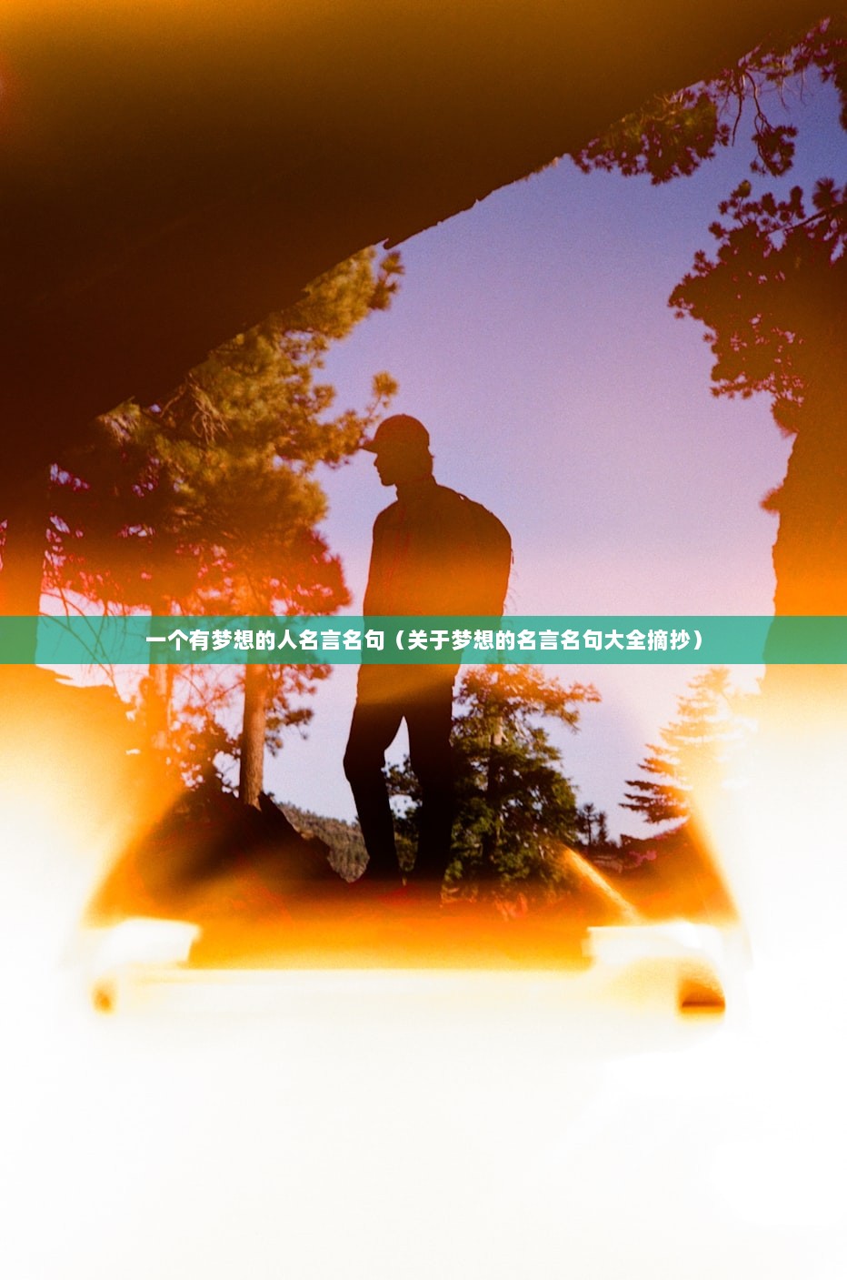 一个有梦想的人名言名句（关于梦想的名言名句大全摘抄）